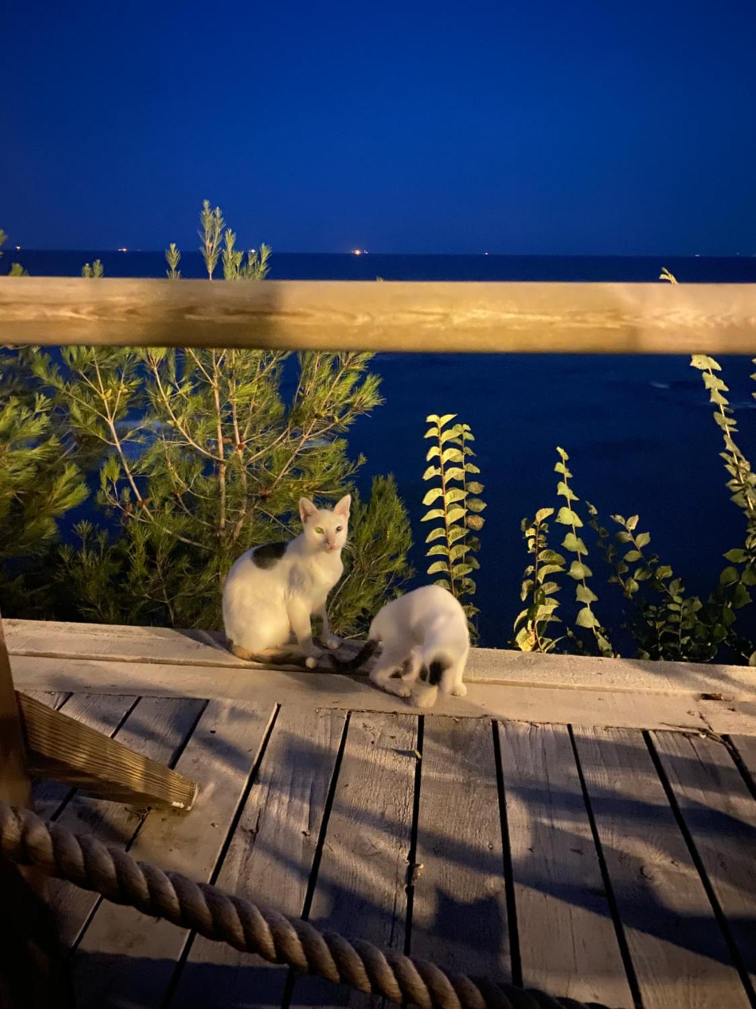 Pıa Mare Otel Gunduzlu Exterior foto